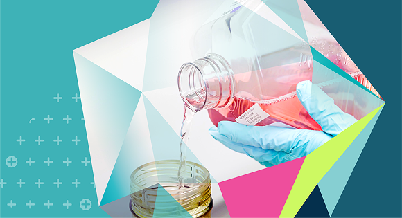 Streamlining Advanced Therapy Medicinal Product Manufacturing: A Platform Approach for Accelerating Gene Therapy Commercialization