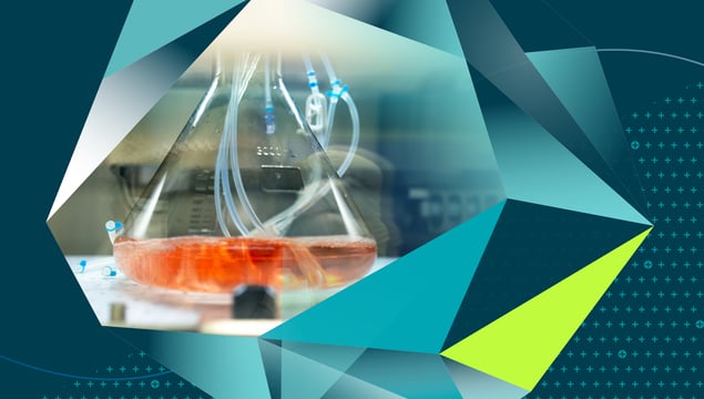 The Problem of Partials: Redefining the Analytical Frameworks Surrounding Capsid Characterization