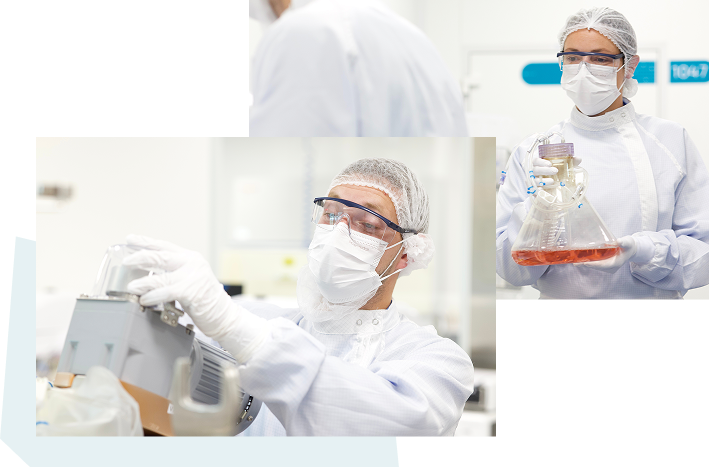 Viralgen Cell Line