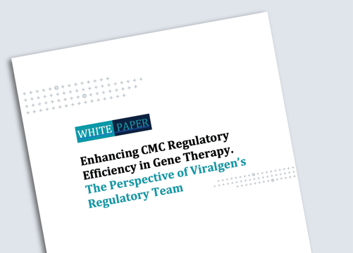 Enhancing CMC Regulatory Efficiency in Gene Therapy