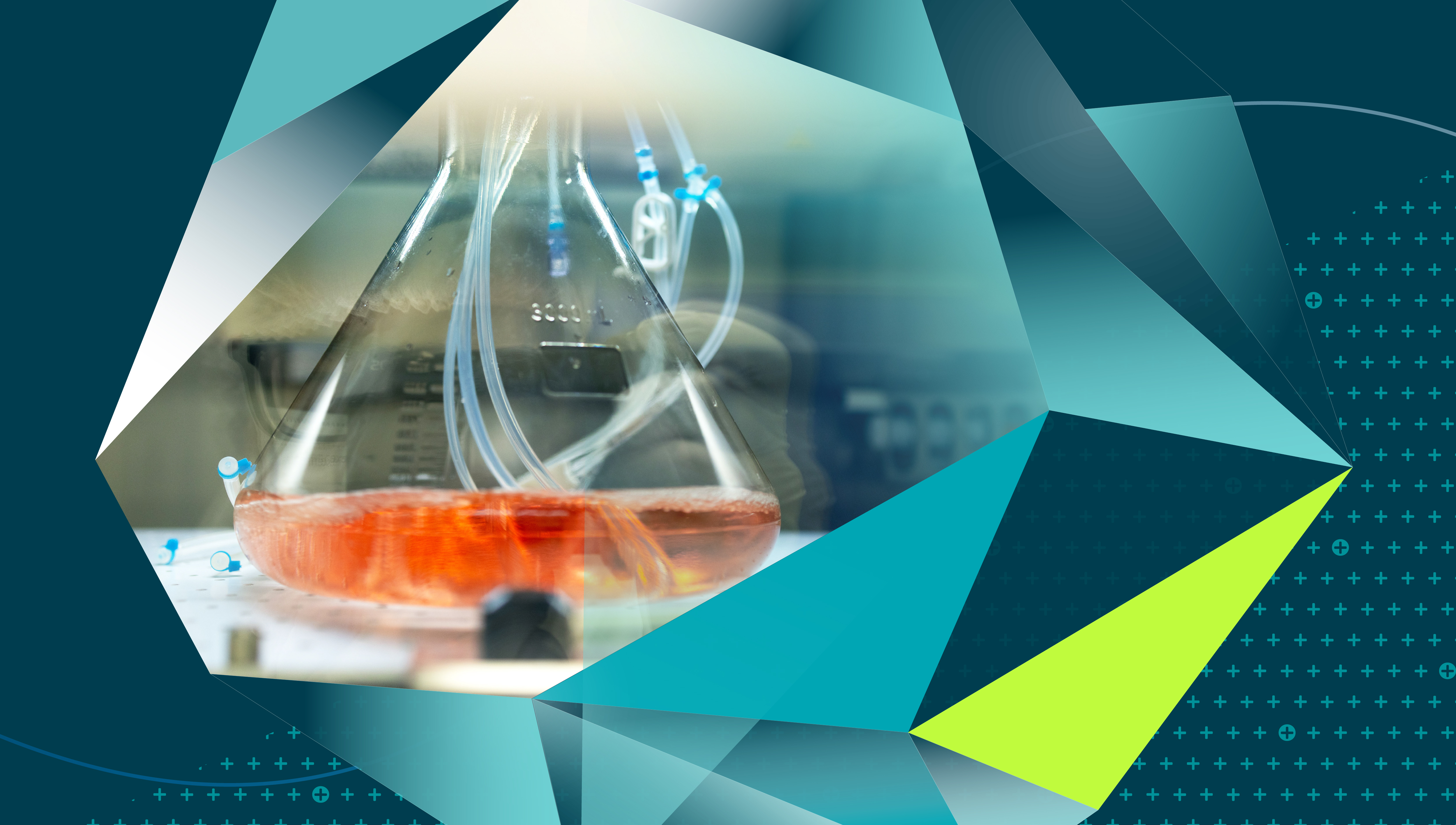 The Problem of Partials: Redefining the Analytical Frameworks Surrounding Capsid Characterization